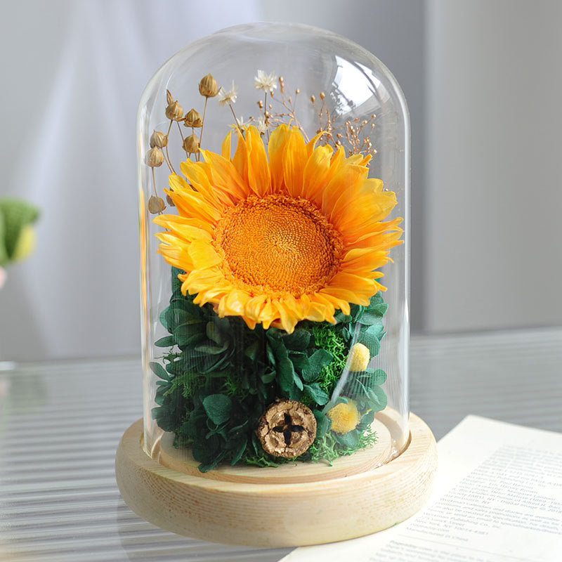 [V-day] Preserved Flower 717 (w led lights)