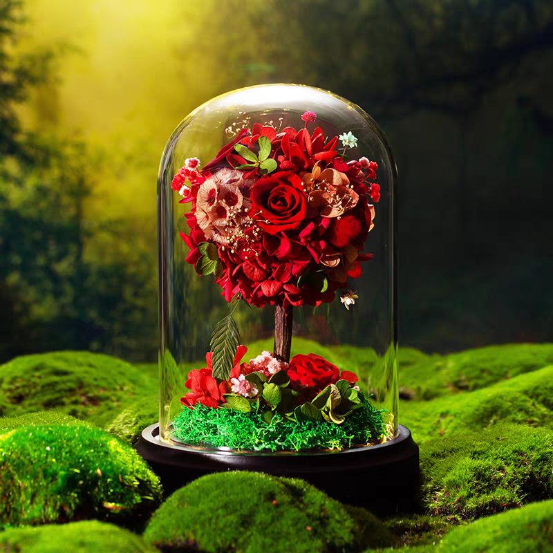 Preserved Flower 785 (w led lights)