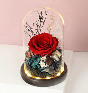 Preserved Flower 244 (w led lights)
