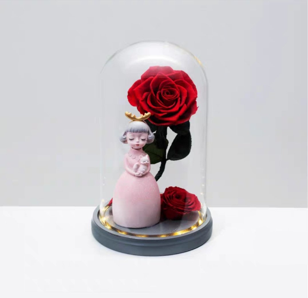 Preserved Flower 555 (w led lights)