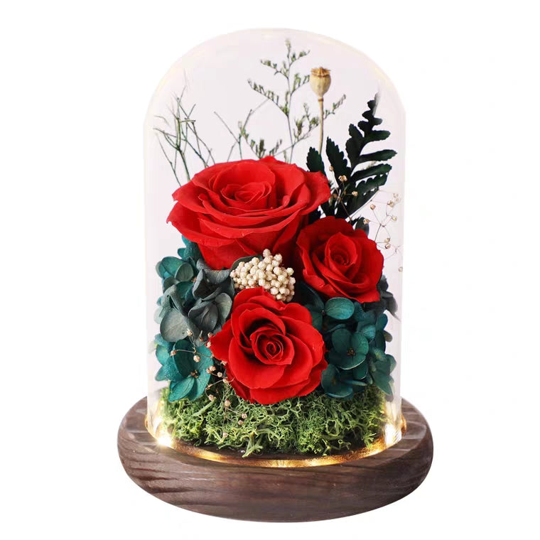 Preserved Flower 178 (w led lights)