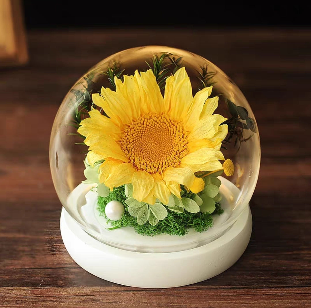 Preserved Flower 716 (w led lights)