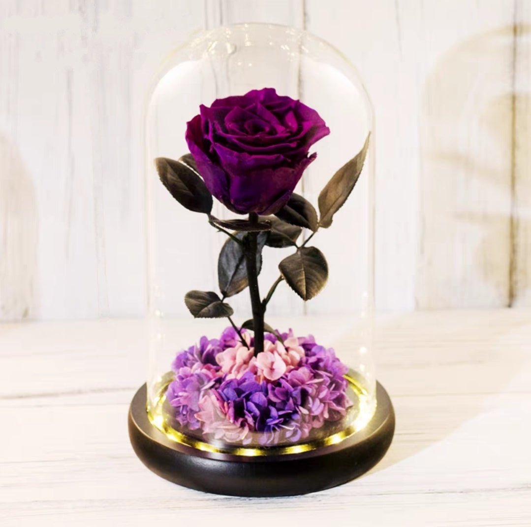 Preserved Flower 699 (w led lights)