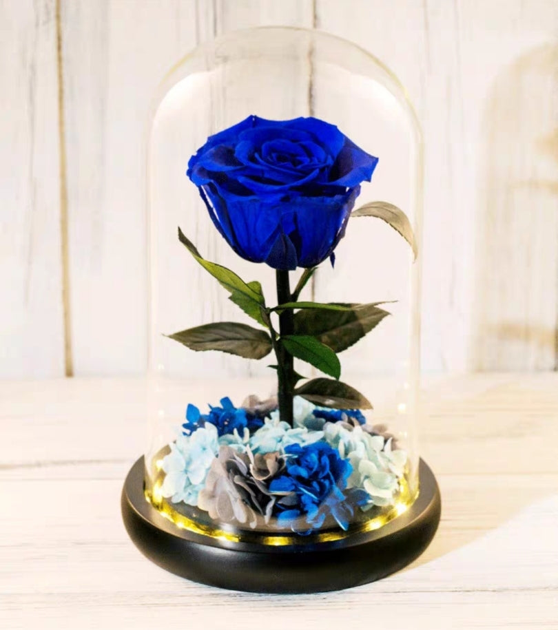 [V-day] Preserved Flower 698 (w led lights)