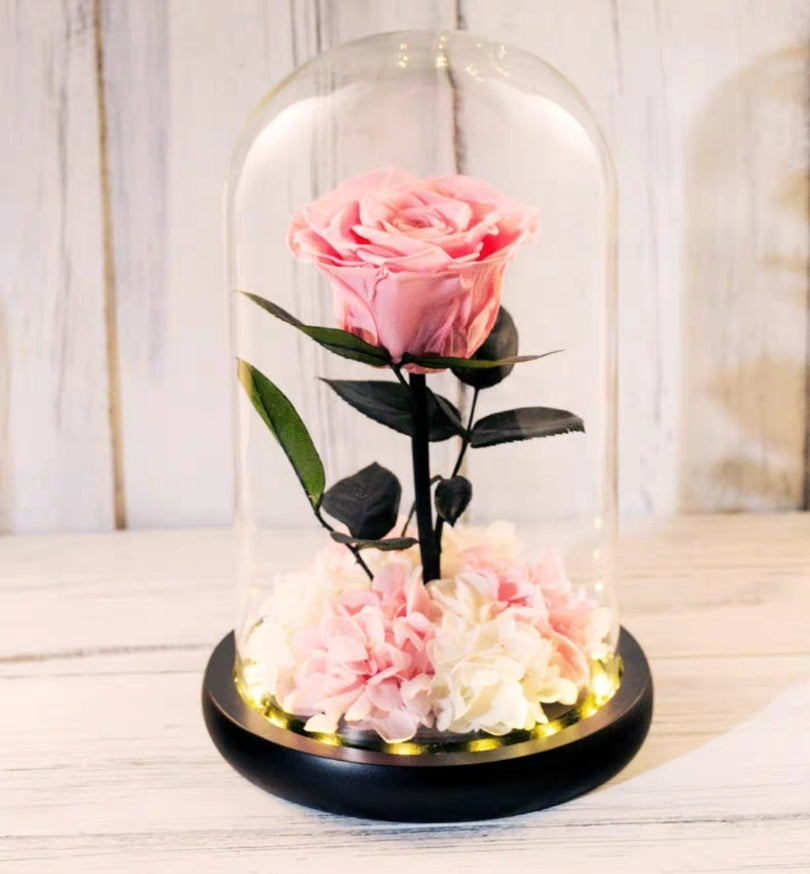 [V-day] Preserved Flower 697 (w led lights)