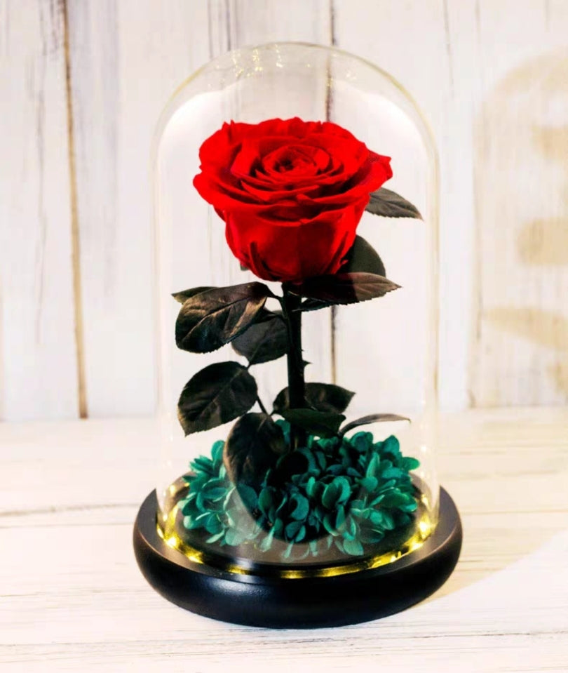 [MUM] Preserved Flower 696 (w led lights)