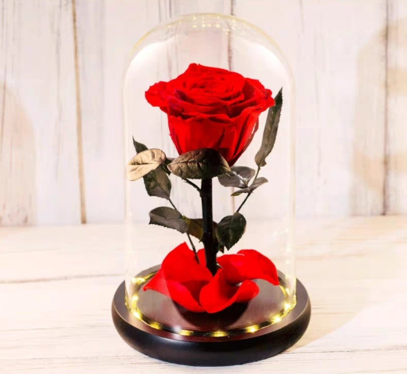 Preserved Flower 695 (w led lights)