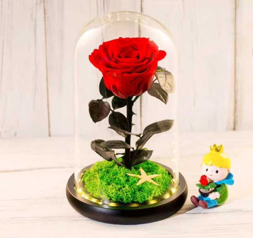 [V-day] Preserved Flower 700 (w led lights)