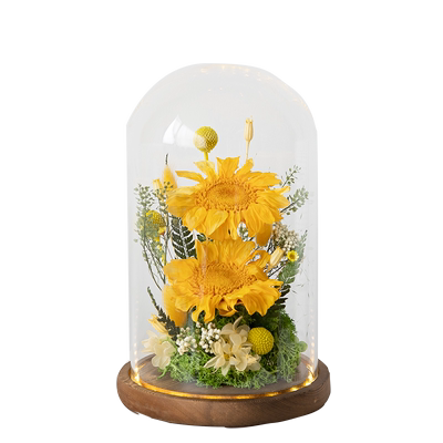 [V-day] Preserved Flower 707 (w led lights)