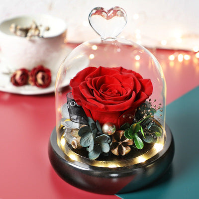 Preserved Flower 428 (w led lights)