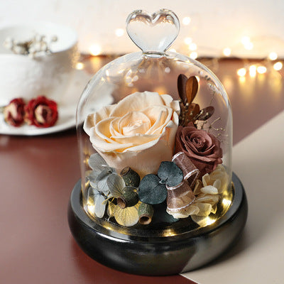 Preserved Flower 427 (w led lights)