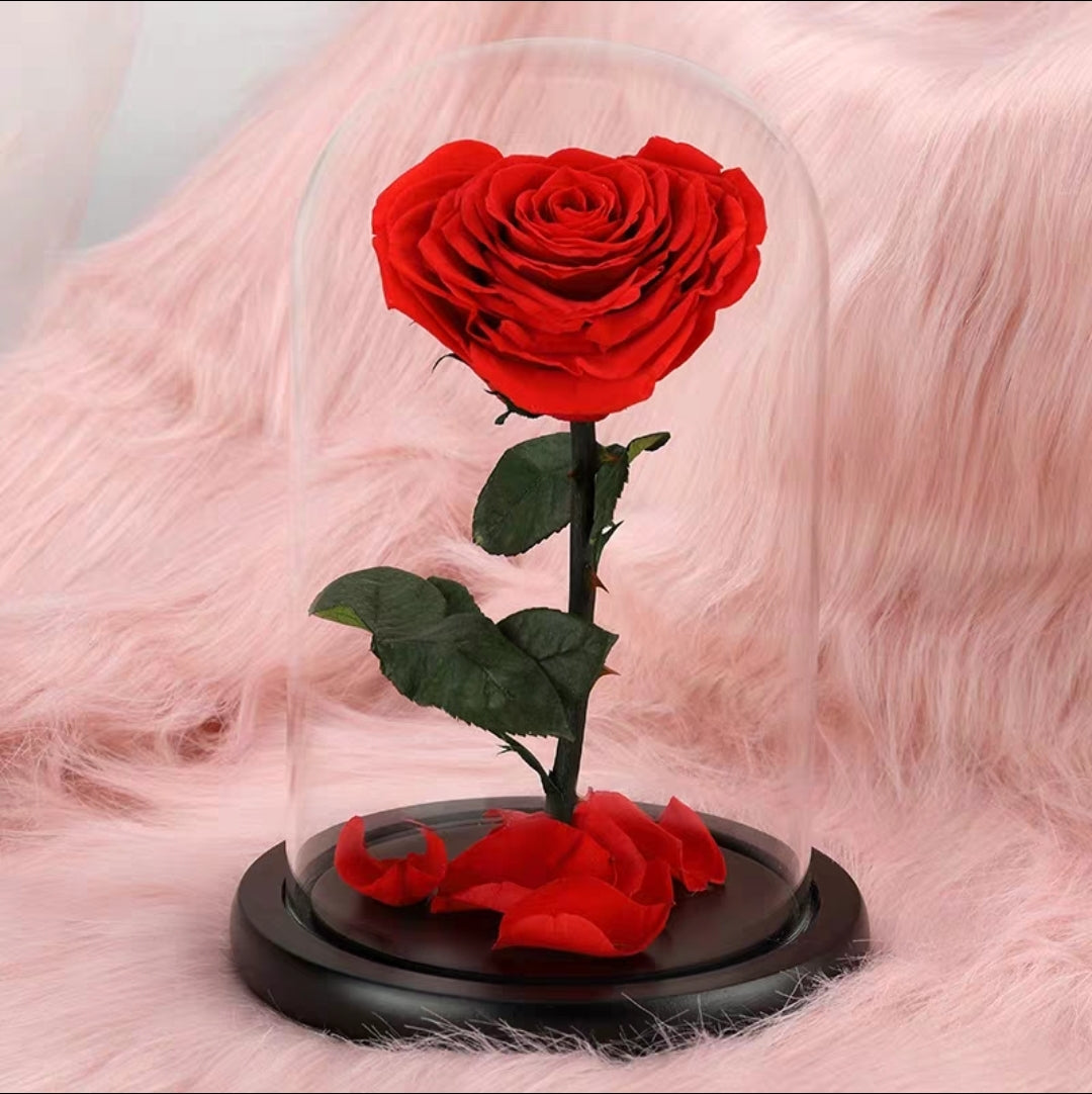 [MUM] Preserved Flower 221