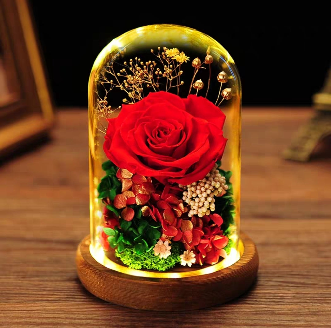 [V-day] Preserved Flower 308 (w led lights)