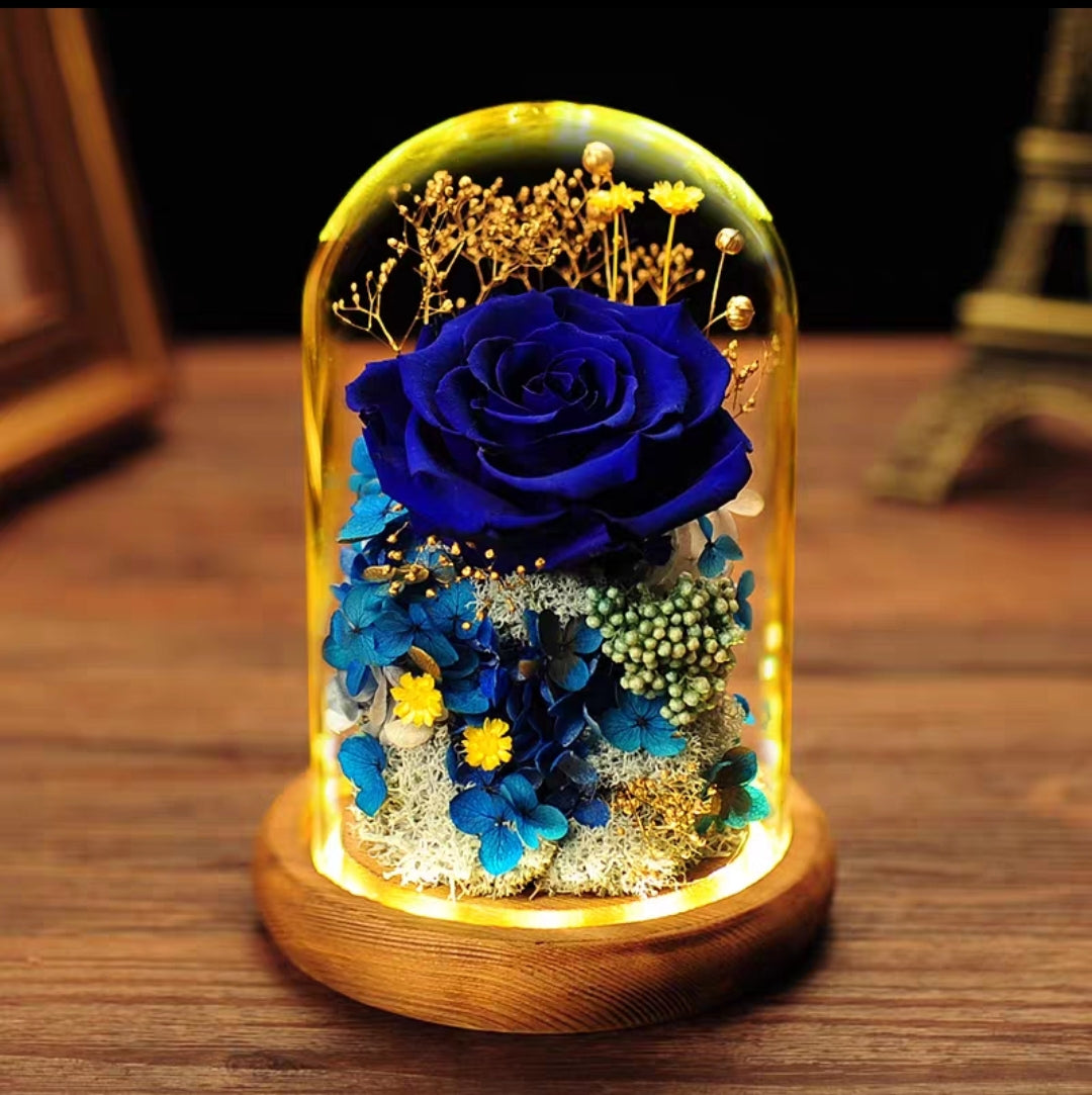 [V-day] Preserved Flower 311 (w led lights)