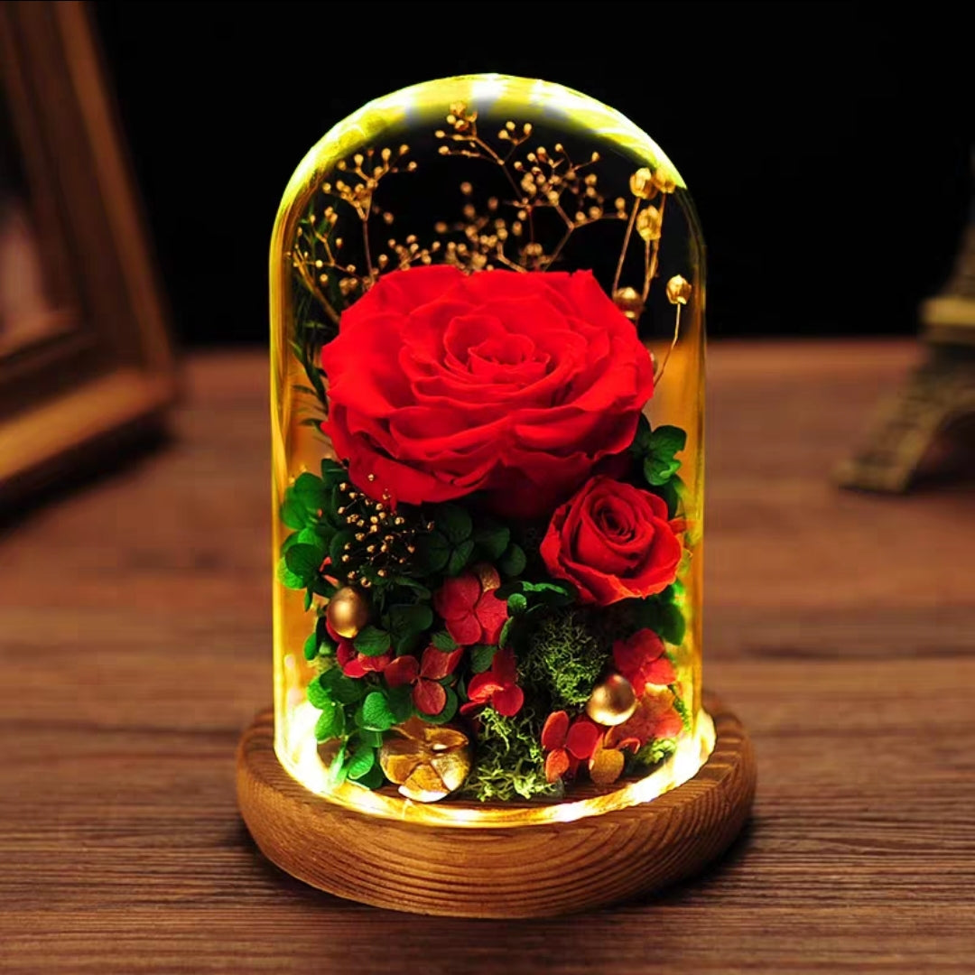 [V-day] Preserved Flower 312 (w led lights)