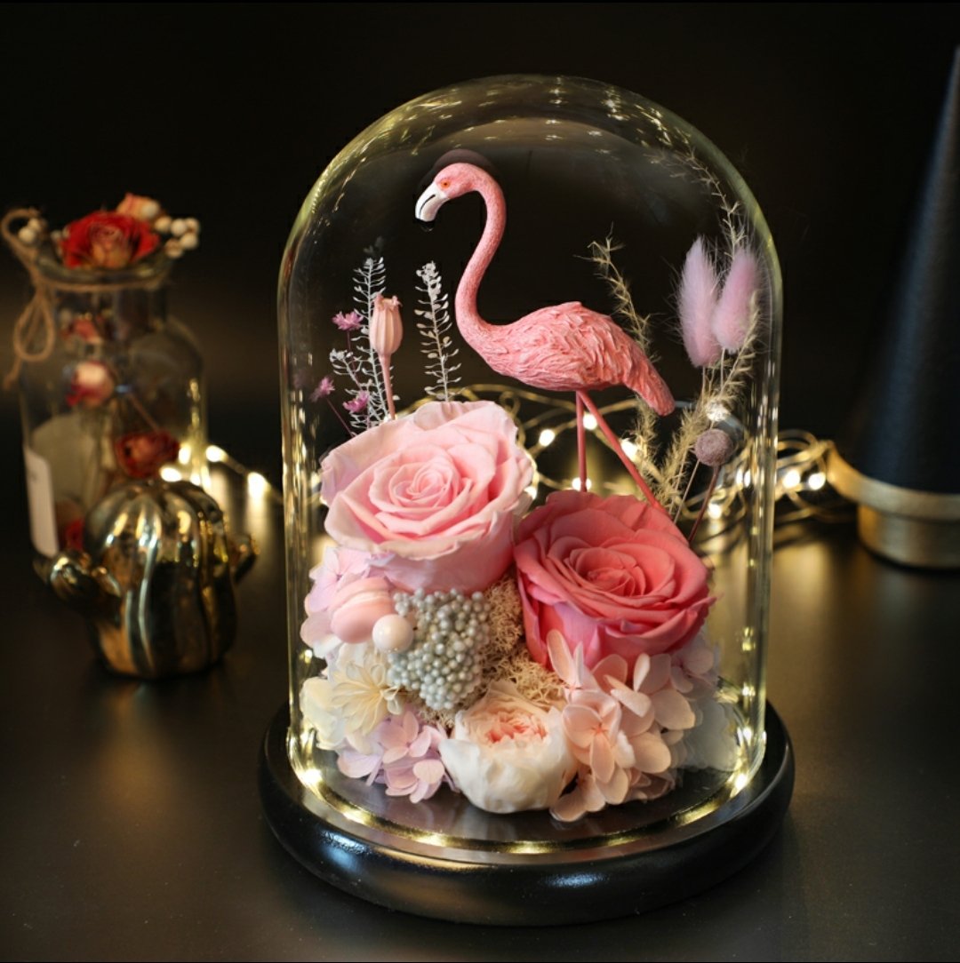 Preserved Flower 585 (w led lights)