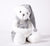 Bear 081