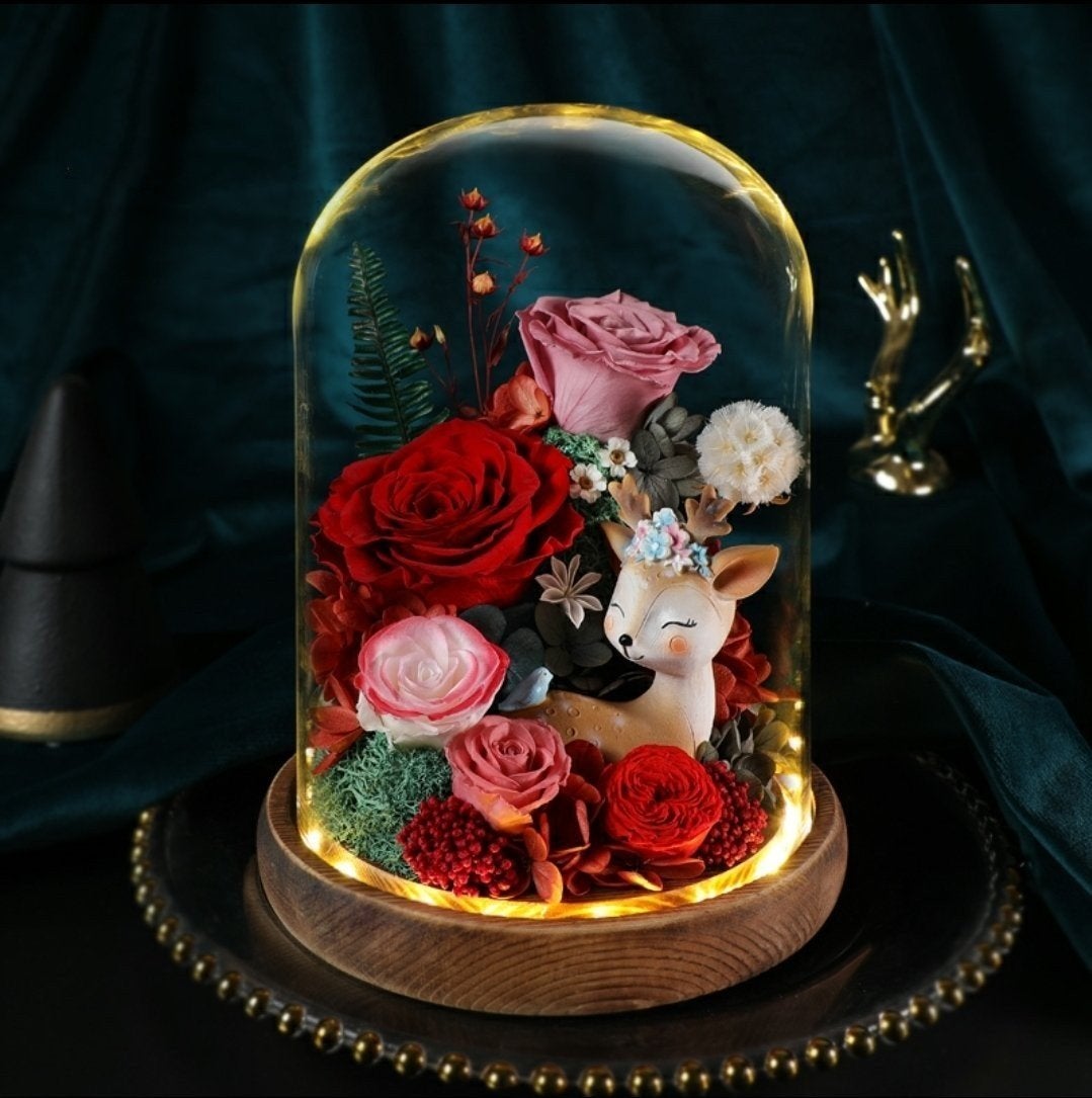 [MUM] Preserved Flower 580 (w led lights)