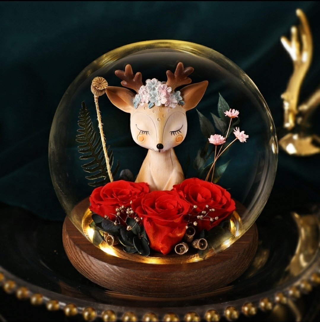 Preserved Flower 577 (w led lights)