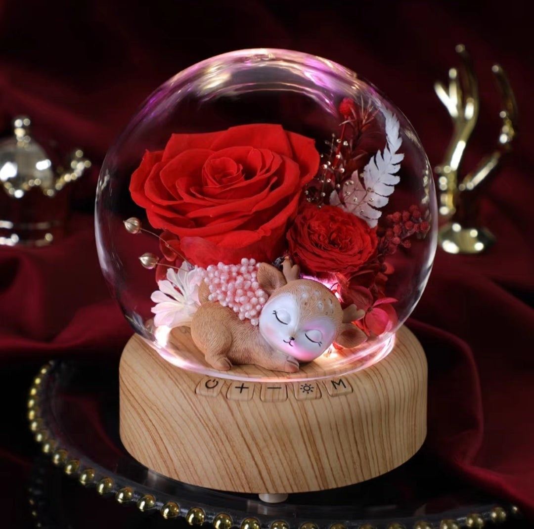 [V-day] Preserved Flower 643 (w led & bluetooth speaker)